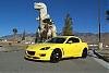 The 06-07 San Bernardino Calendar Project-dino-2.jpg