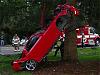 San Bernardino monthly meet and drive 2007 thread.-fd-tree2.jpg