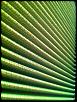 FS: Racing Beat Air Duct + Green Air filter + chopped VFAD-img_0419.jpg