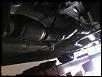 Stock cat-img_0456.jpg