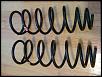 OEM GT Springs 04-img_0834.jpg