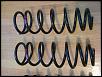 OEM GT Springs 04-img_0835.jpg