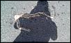 'What Happens in Vegas' Meet - 2011-imag0020.jpg