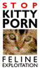 Turbo Dan's Avatar