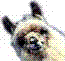 winblu8's Avatar
