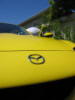 Yeah_its _yellow's Avatar