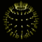 huhsler's Avatar