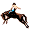RockyMtnHi's Avatar