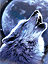 kantonm's Avatar
